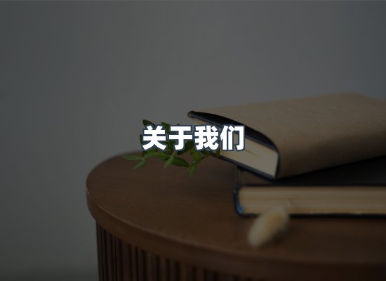 专业团队